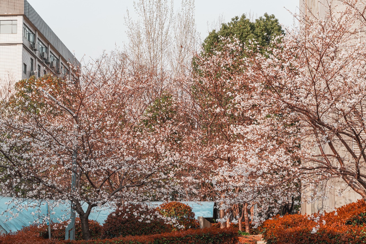 壹号娱乐 - NG大舞台,有梦你就来