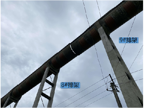 壹号娱乐 - NG大舞台,有梦你就来